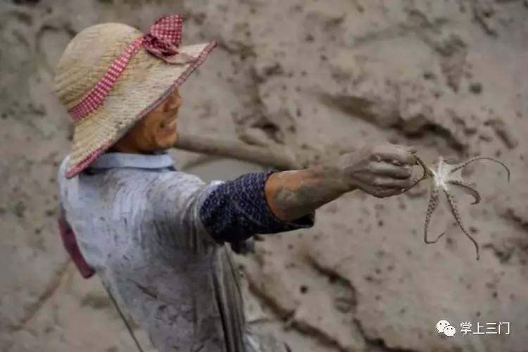 杭州吃货福利！县四套班子领导齐上阵，在省人民大会堂为三门小海鲜“吆喝”！