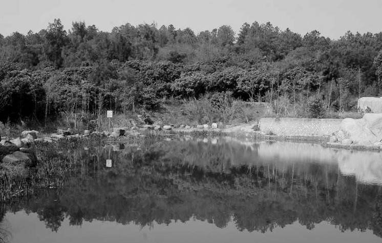 家在岁月变迁中的变化,家乡在不经意间变得越来越美