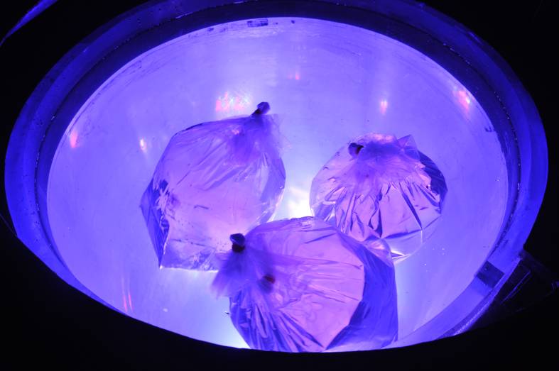 聊城市海底世界,聊城海底世界真实视频