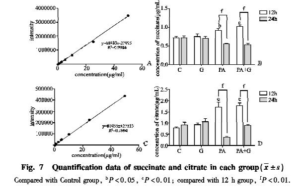 糖尿病肾病机制研究进展,糖尿病患者的代谢紊乱及其机制