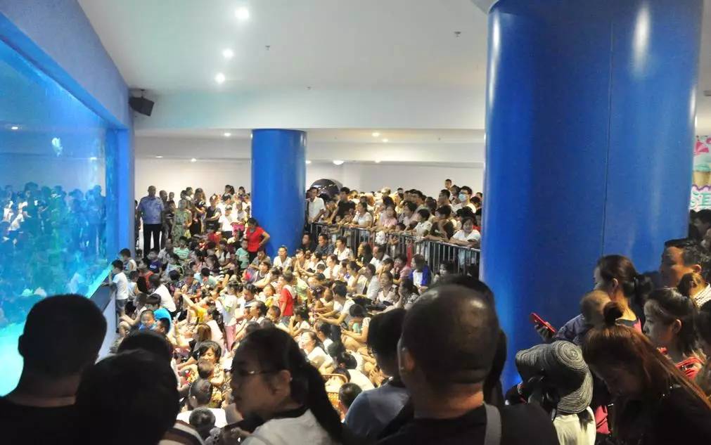 聊城市海底世界,聊城海底世界真实视频