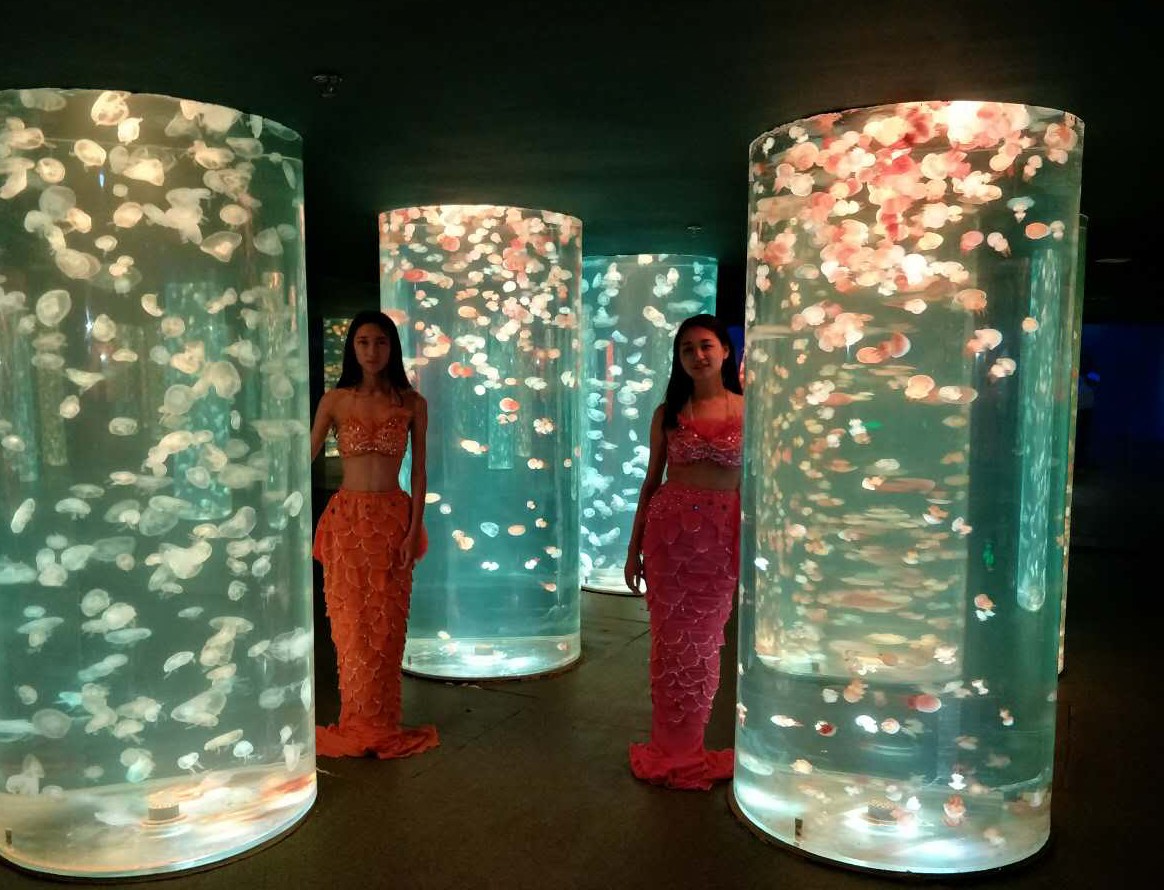 聊城市海底世界,聊城海底世界真实视频