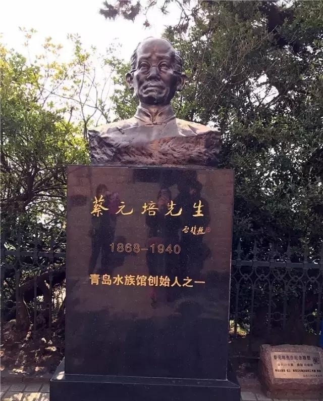 聊城市海底世界,聊城海底世界真实视频