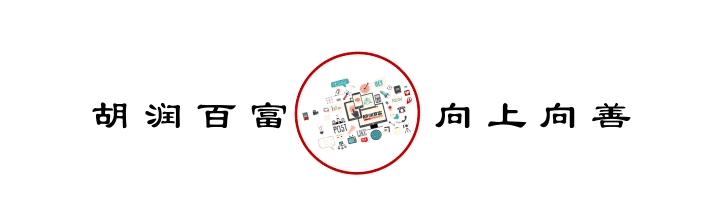 宋鸿儒将军原型是谁,宋鸿兵到底是什么人