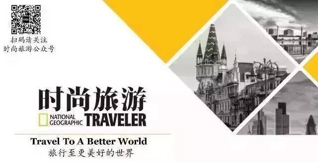 动物们开始工作,动物们开始冒险