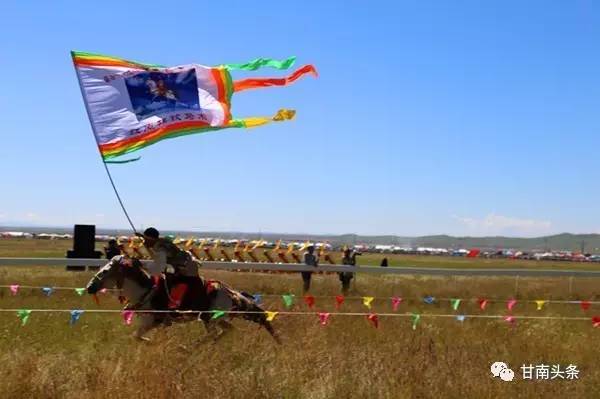 纵马扬鞭御风飞行丨九色甘南香巴拉·玛曲第十一届格萨尔赛马节隆重开幕