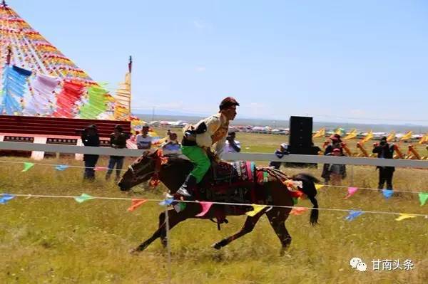 纵马扬鞭御风飞行丨九色甘南香巴拉·玛曲第十一届格萨尔赛马节隆重开幕