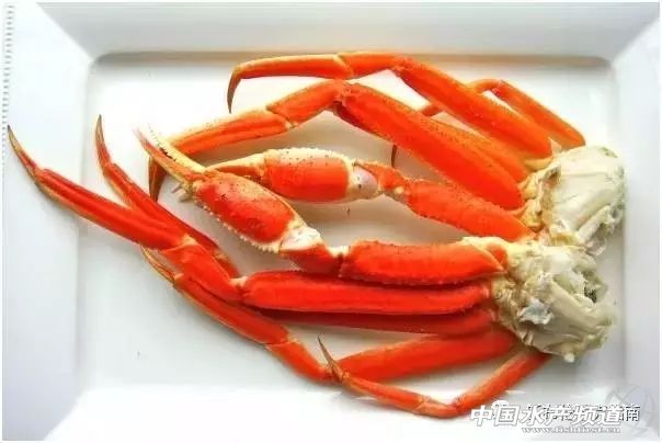 雪蟹是怎么来的,雪蟹是怎样的