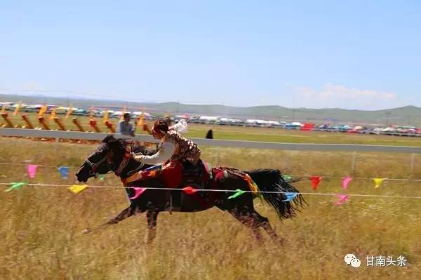 纵马扬鞭御风飞行丨九色甘南香巴拉·玛曲第十一届格萨尔赛马节隆重开幕