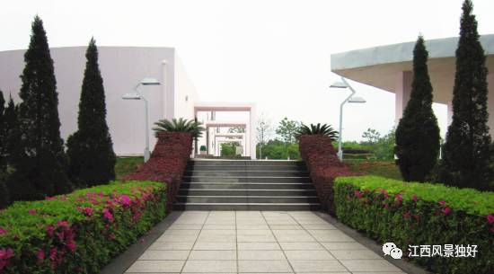 江西共青城风景区,走遍江西100县