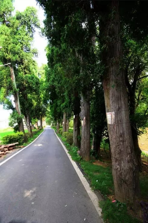 「文艺北湖」郴州（北湖）本土诗人“解”《到西河去》等作品入选《诗歌世界》