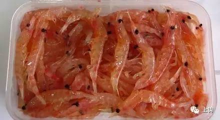 海钓课堂,海钓通用什么鱼饵最好呢