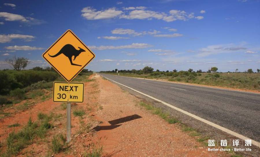 自驾免押金租车哪个好,国际租车推荐