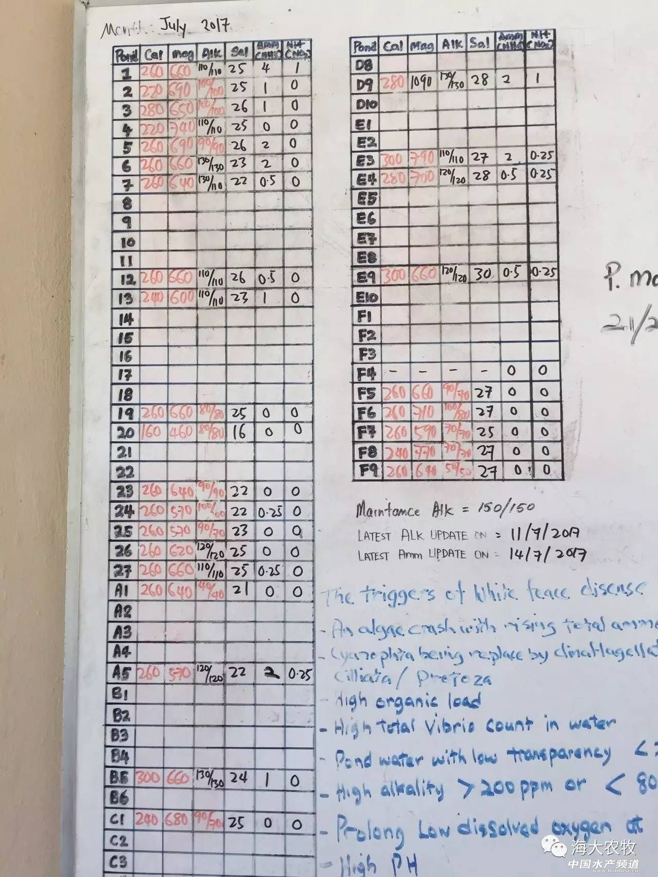 养虾调水秘诀,养虾成功