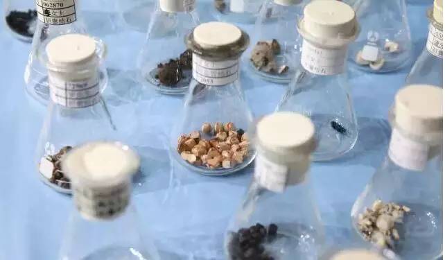 这个博物馆有点“疯狂”!2300份人体结石今天展出!就在东莞这个地方……