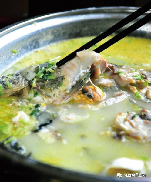 江西共青城风景区,走遍江西100县