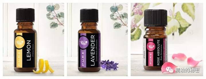 秋季最适宜女人使用的三种精油