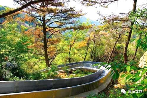 天蒙世界第一人行悬索桥,玩的就是心跳的景区