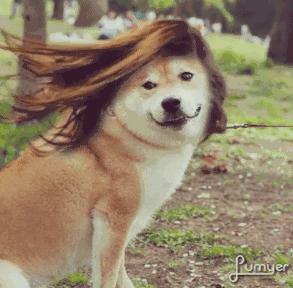 到屈臣氏必买的便宜好物,屈臣氏角落好物推荐