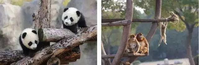 好消息！9月份去上海这64个热门景区统统半价！