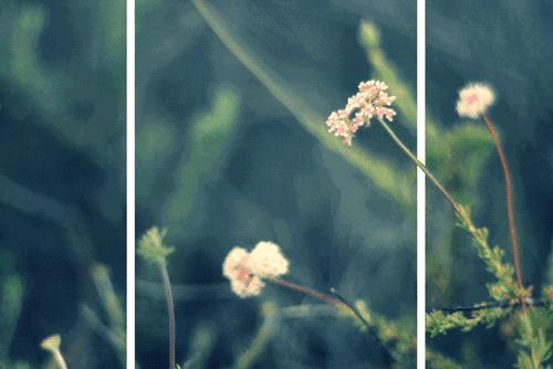 diy鎵嬪伐鍒朵綔铚$墖,diy棣欐皼铚$儧鏁欑▼