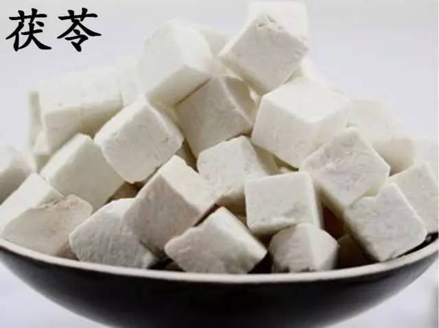 菘蓝花开,菘蓝花朵