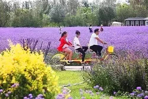 包头市8月份哪里好玩,包头8月活动