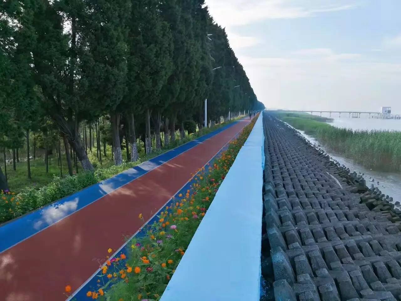 崇明体育运动基地,崇明区体育训练基地