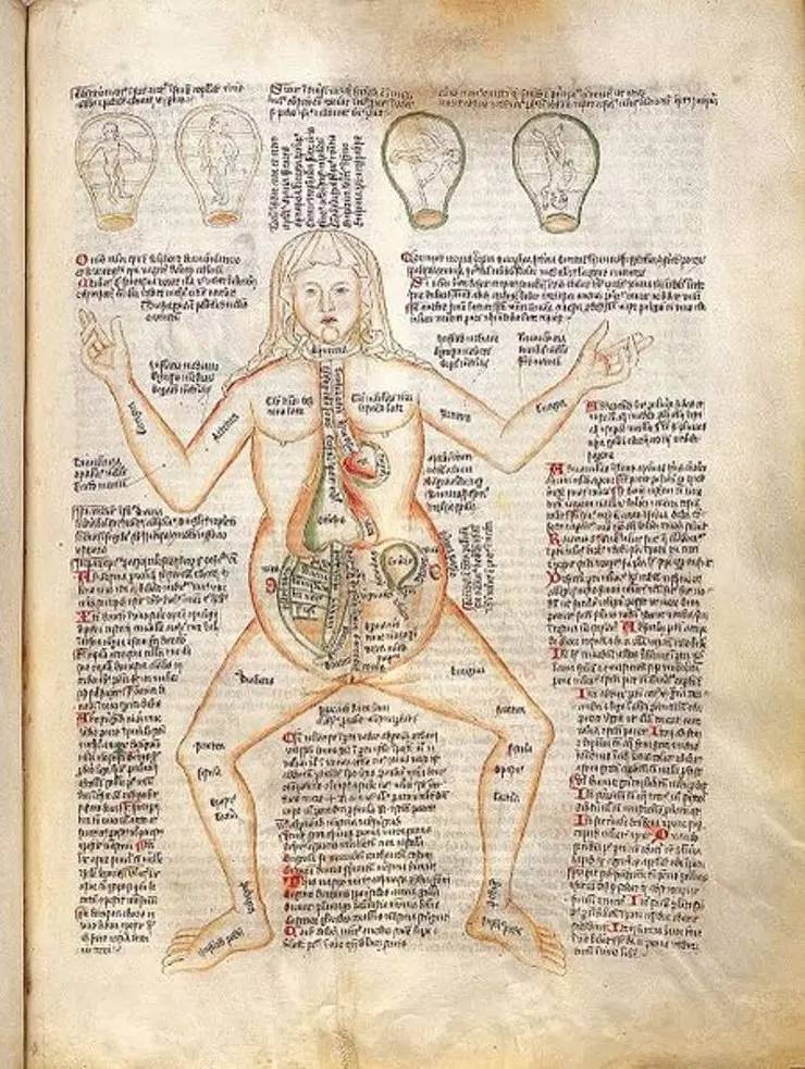 中世纪的人遇到不孕不育如何处理?