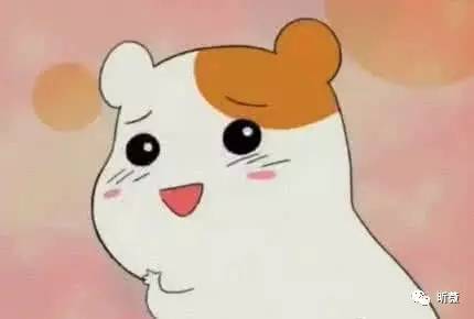 气死“日代子”!美衣海淘也有freestyle?文末福利不看后悔整个秋天!