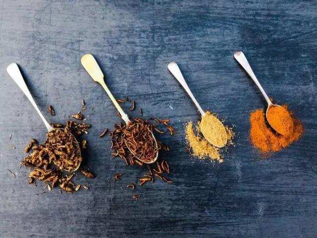 国际公认的昆虫食品标准,昆虫食品新吃法大全