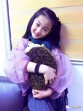 居然是他们？淮南市首届网络宣传代言人名单公布