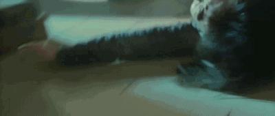 金陵十三钗电影照,推荐好电影金陵十三钗