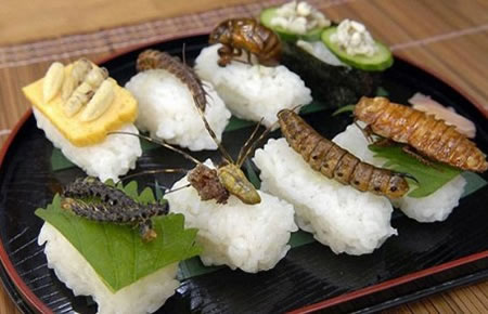 国际公认的昆虫食品标准,昆虫食品新吃法大全