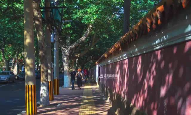 青岛有多好拍,青岛到底有哪些风景