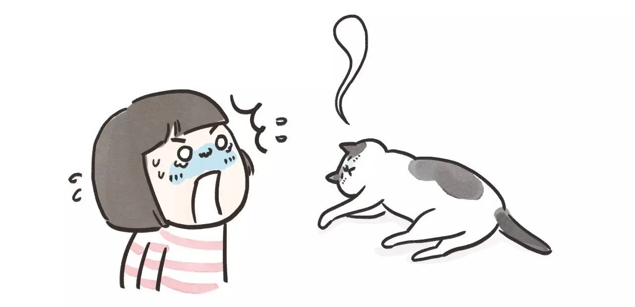 救命啊！主子溺水、触电、中毒了怎么办？！丨强档