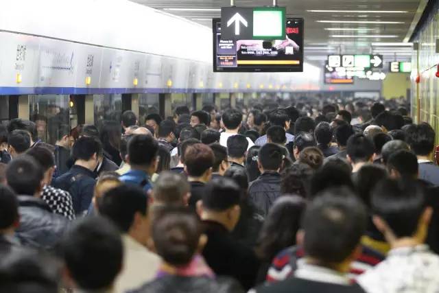 双流地铁10号线线路图,双流10号线地铁站