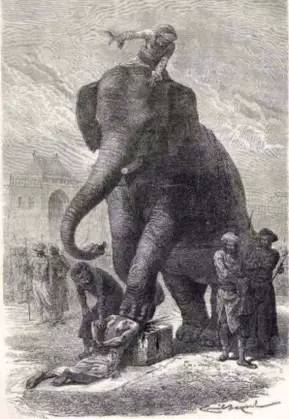 动物们开始工作,动物们开始冒险