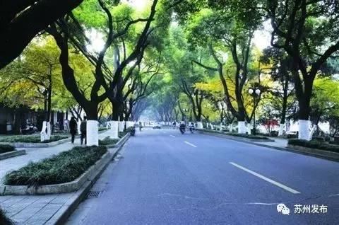 顶起！苏州又双叒叕在全球宜居城市中拿大陆第一，背后离不开“绿色GDP”！