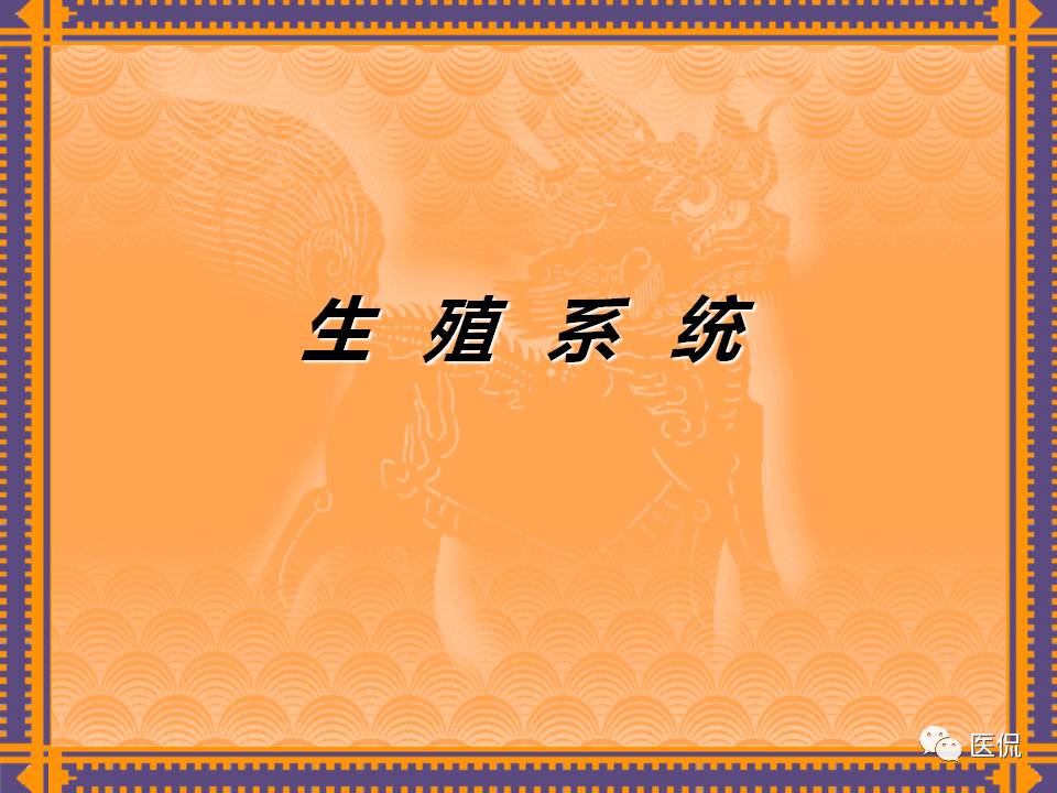 生殖系统疾病影像学诊断医学影像精品PPT