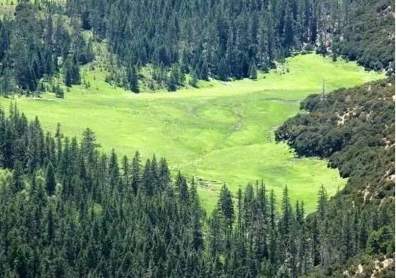 成都到稻城亚丁包车,成都出发去稻城亚丁包车自由行