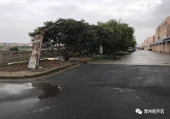 焕新颜|横林镇投入50万,横林地板城及周边环境整治提升!