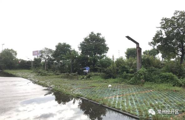 焕新颜｜横林镇投入50万，横林地板城及周边环境整治提升！