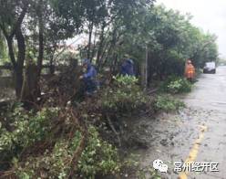 焕新颜|横林镇投入50万,横林地板城及周边环境整治提升!