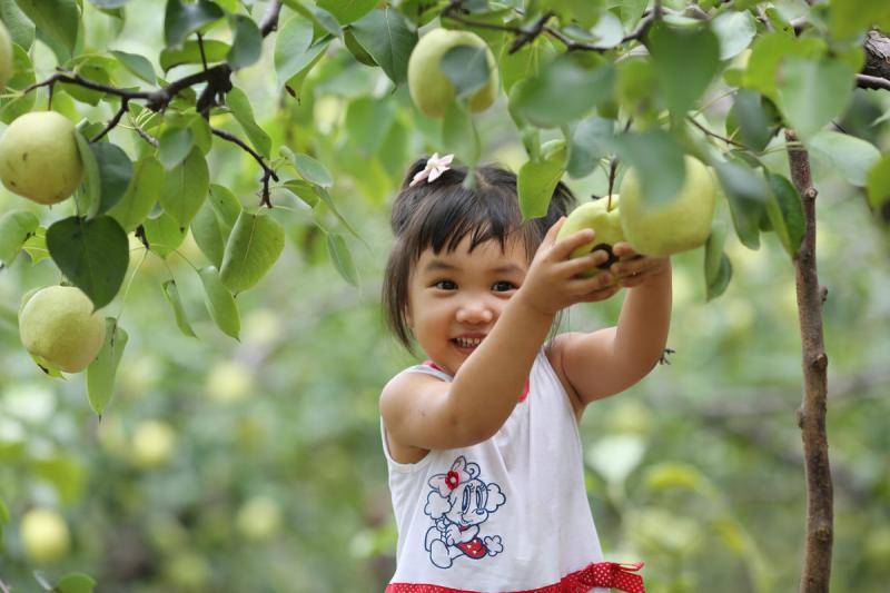抓住暑假尾巴来一波,抓住暑假的尾巴来钓鱼