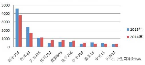 火拼!近百亿黄淮海市场,品种与高温的爱恨纠葛,谁将笑到最后?