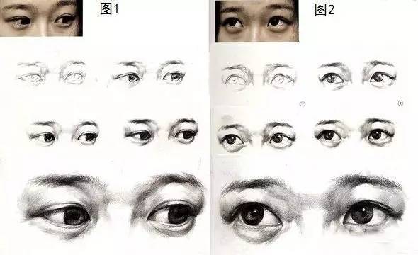 画人物不会画怎么办,画人物不会画眉毛