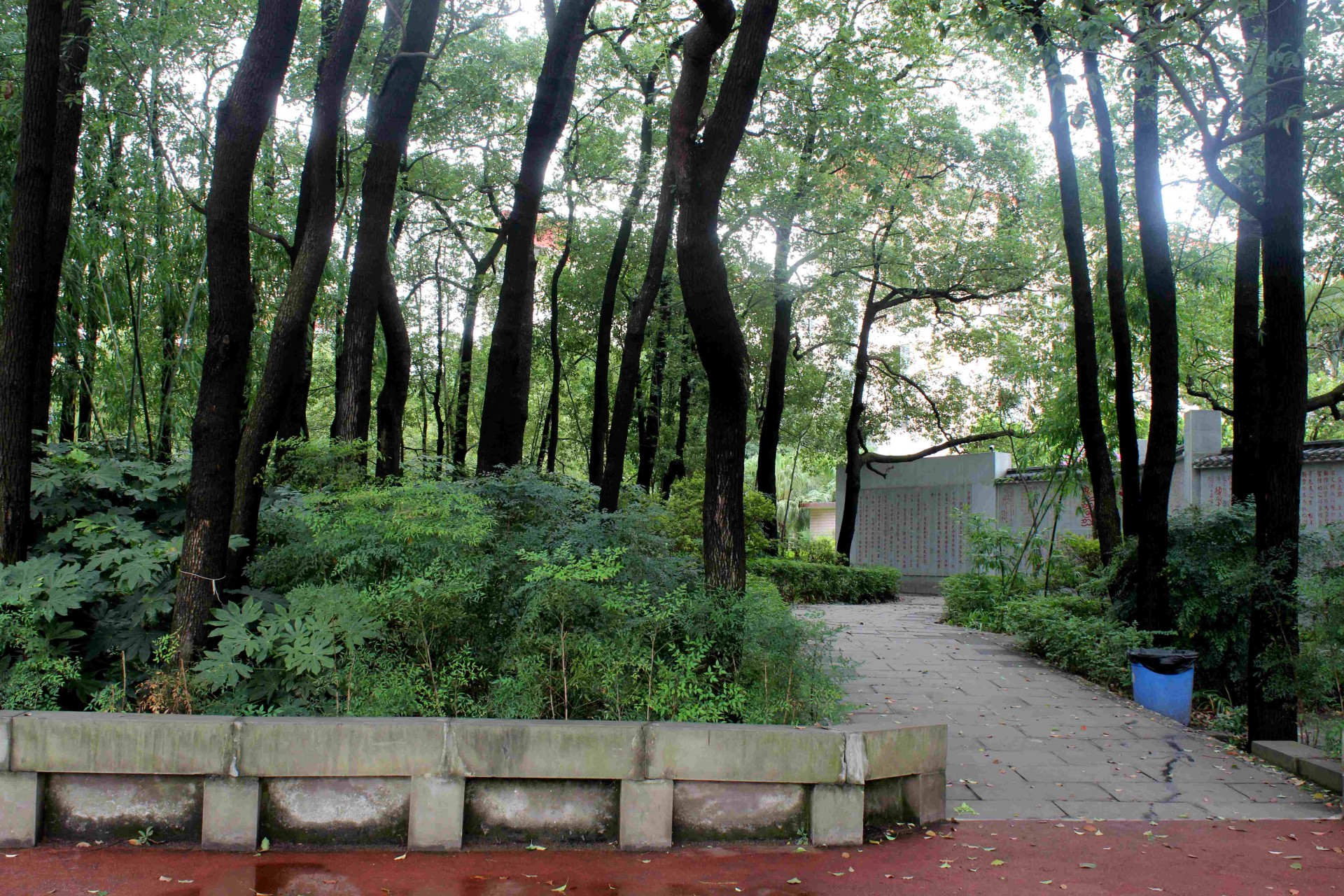 新宜宾三中,谢谢你三个字的歌词