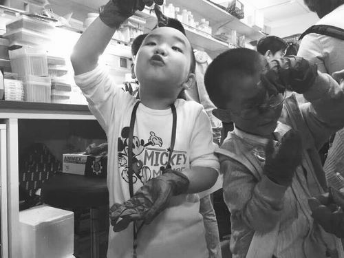 中国科学院公众科学日直播,中国科学院第二十届公众科学日