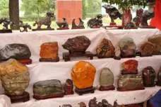 包头美食节2017在哪里,包头美食节